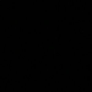 Meet your Posher, Avery